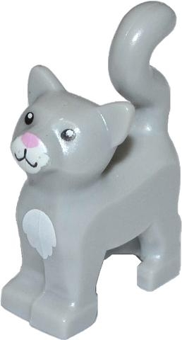 Cat, Standing with Black Eyes, Bright Pink Nose, White Muzzle and Chest Pattern
I god stand.