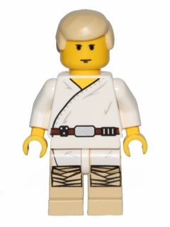 Luke Skywalker (Tatooine) - 2014 version
Komplett i god stand.